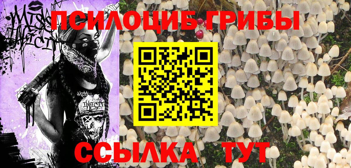 Галлюциногенные грибы мухоморы Изобильный